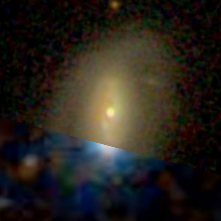SDSS/DSS composite image of lenticular galaxy NGC 1295