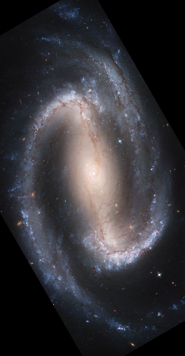 HST image of spiral galaxy NGC 1300