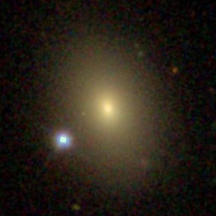 SDSS image of lenticular galaxy NGC 1303