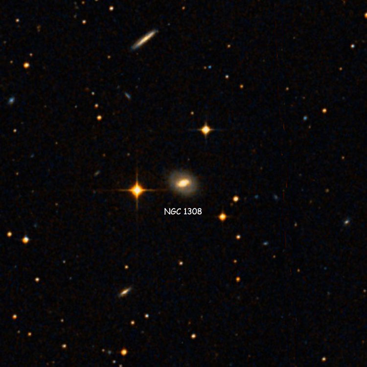 DSS image of region near lenticular galaxy NGC 1308