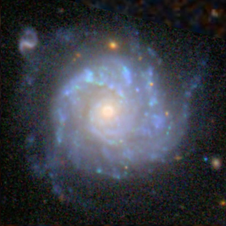 SDSS image of spiral galaxy NGC 1309