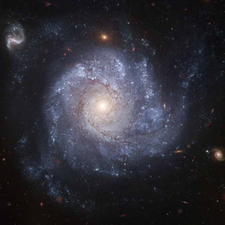 HST image of spiral galaxy NGC 1309