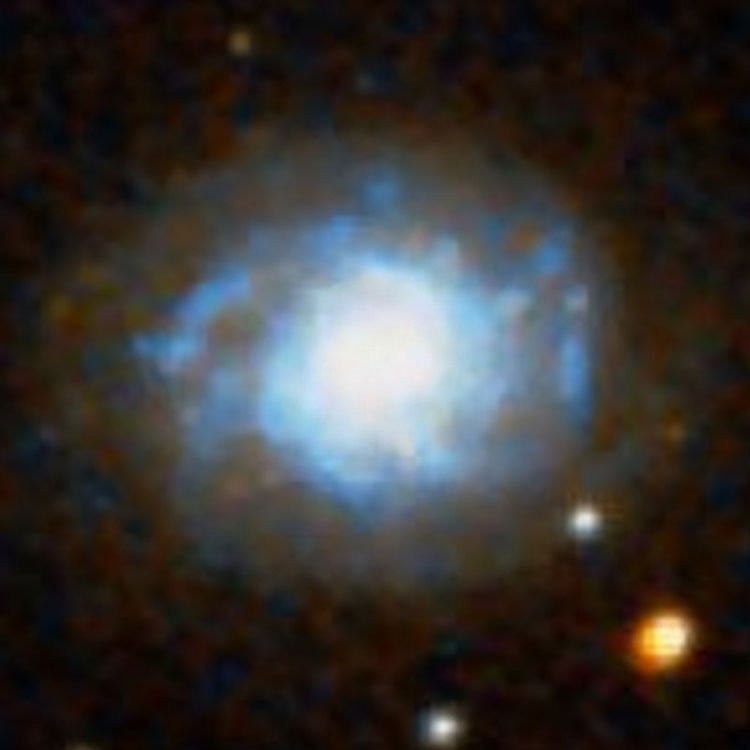 DSS image of spiral galaxy NGC 1310