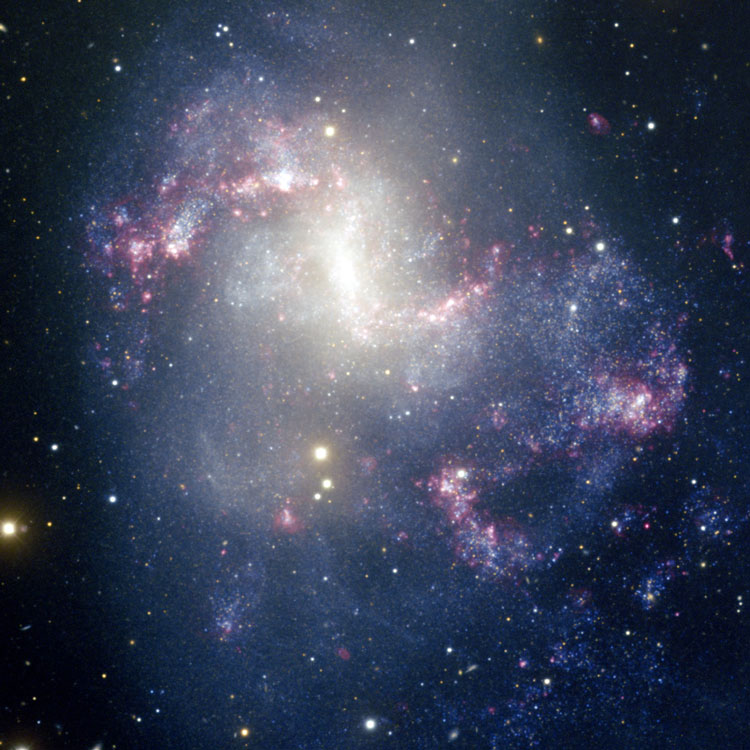 NOAO image of spiral galaxy NGC 1313