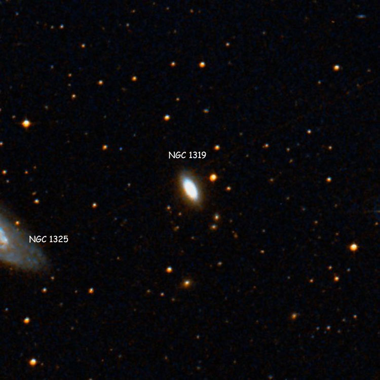 DSS image of region near lenticular galaxy NGC 1319, also showing part of NGC 1325