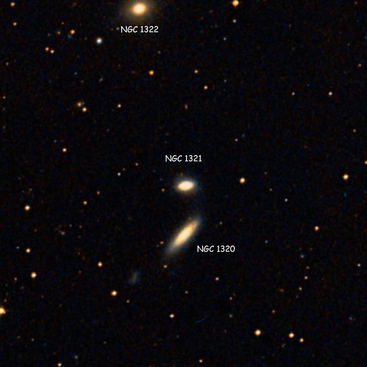 DSS image of region near lenticular galaxy NGC 1321, also showing NGC 1320 and NGC 1322