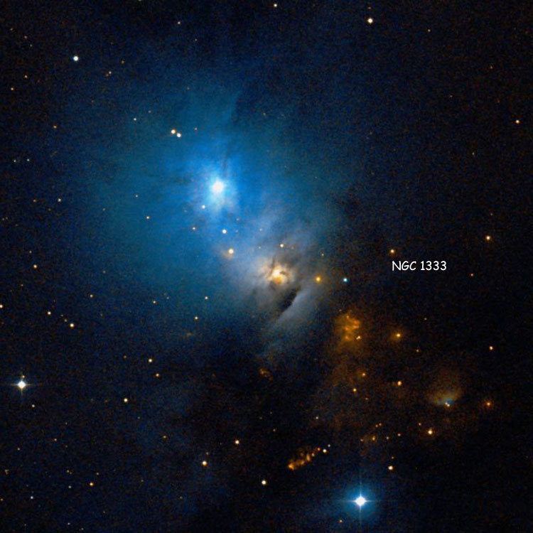 DSS image of reflection and emission nebula NGC 1333