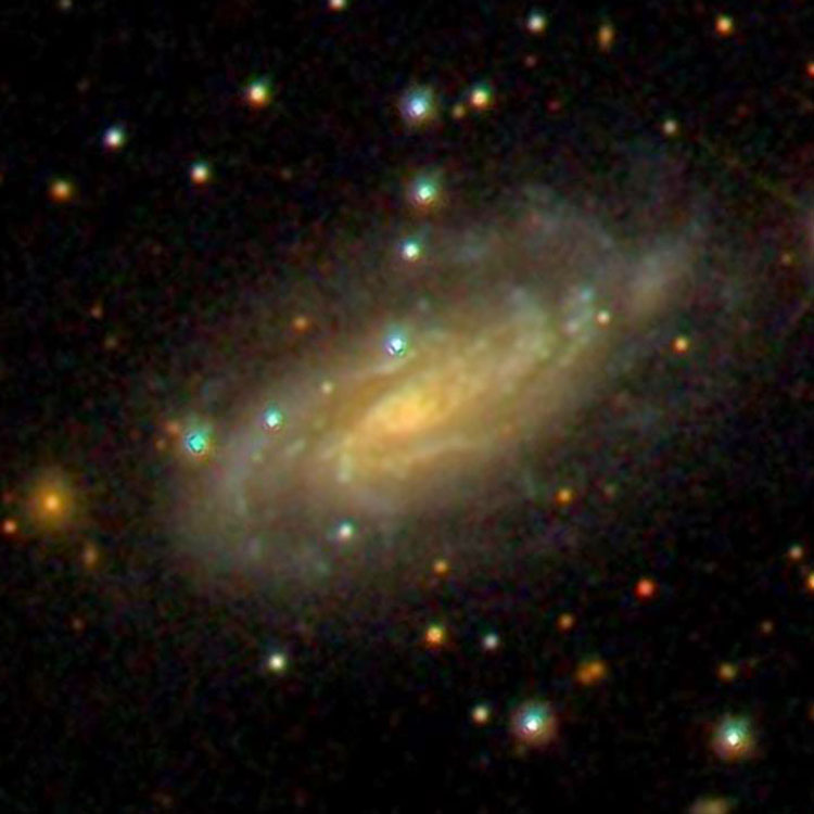 SDSS image of spiral galaxy NGC 1334