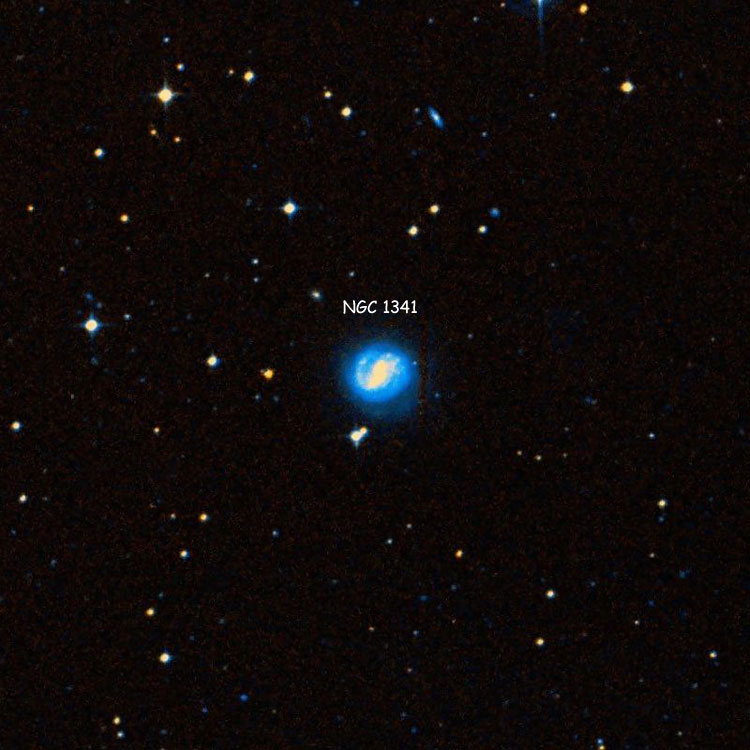 DSS image of region near spiral galaxy NGC 1341