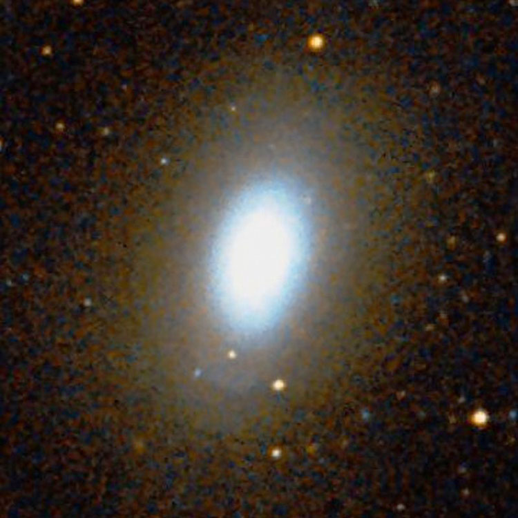 DSS image of elliptical galaxy NGC 1344