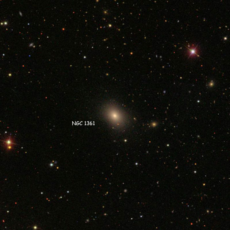 SDSS image of elliptical galaxy NGC 1361