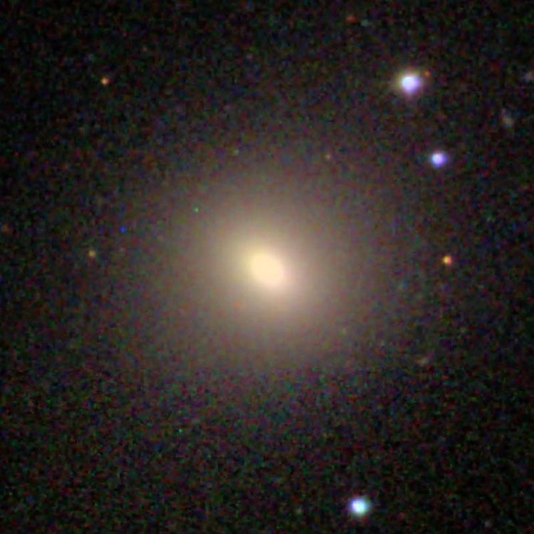 SDSS image of lenticular galaxy NGC 137
