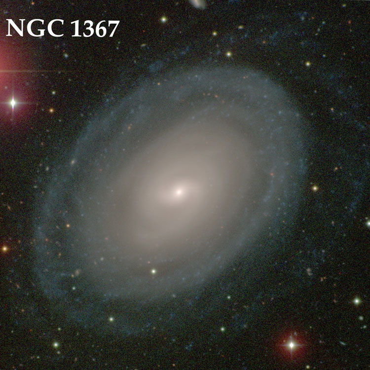 Digitally enhanced Carnegie-Irvine Galaxy Survey image of spiral galaxy NGC 1367, also known as NGC 1371
