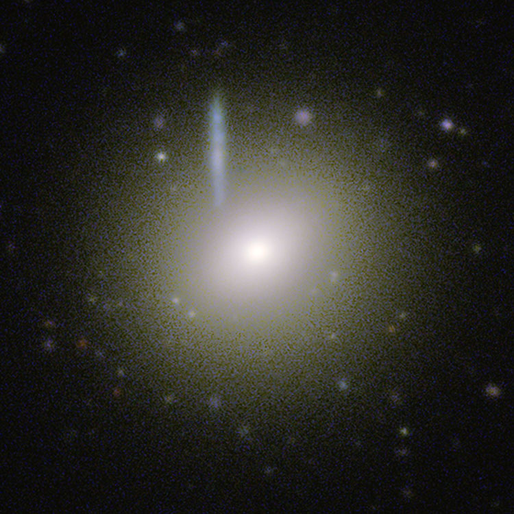 ESO image of elliptical galaxy NGC 1373