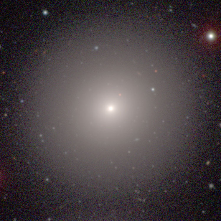 Carnegie-Irvine Galaxy Survey image of elliptical galaxy NGC 1374