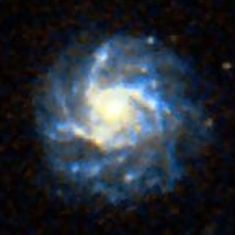 DSS image of spiral galaxy NGC 1376
