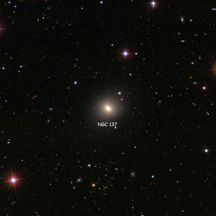 SDSS image of region near lenticular galaxy NGC 137