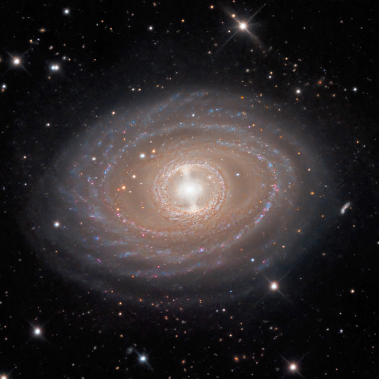 SSRO image of spiral galaxy NGC 1398