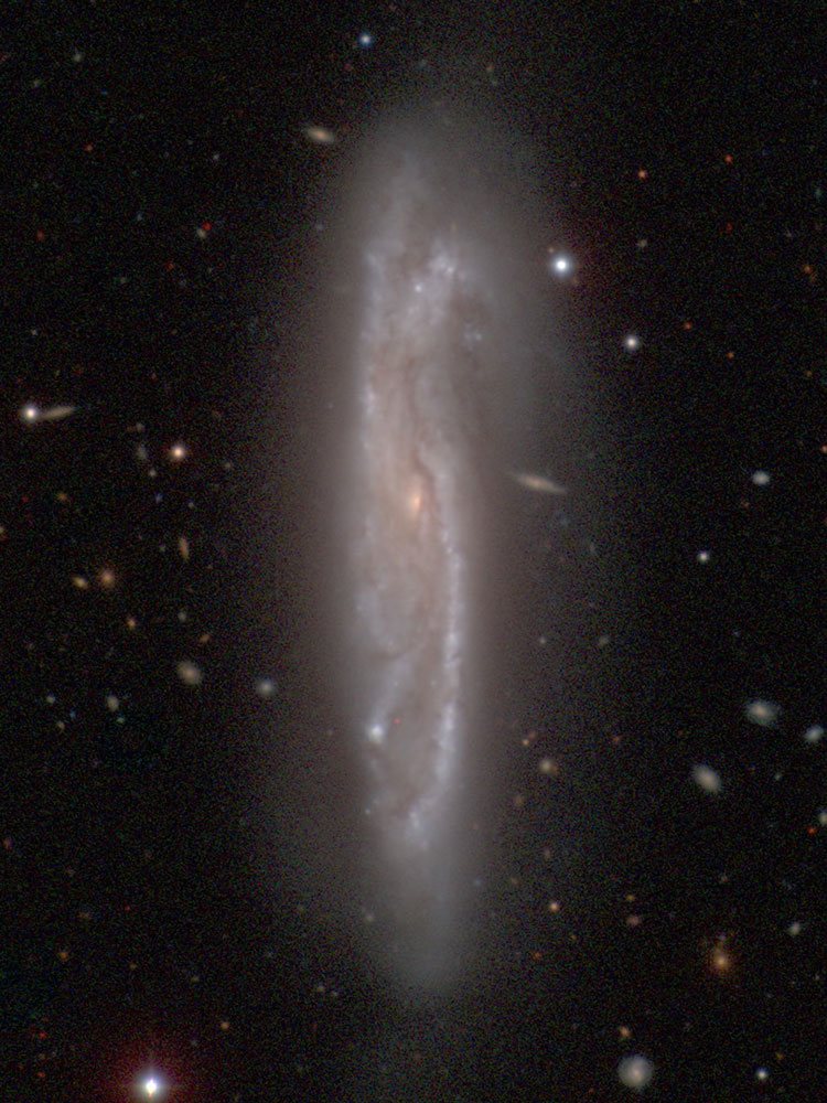 Carnegie-Irvine Galaxy Survey image of spiral galaxy NGC 1421