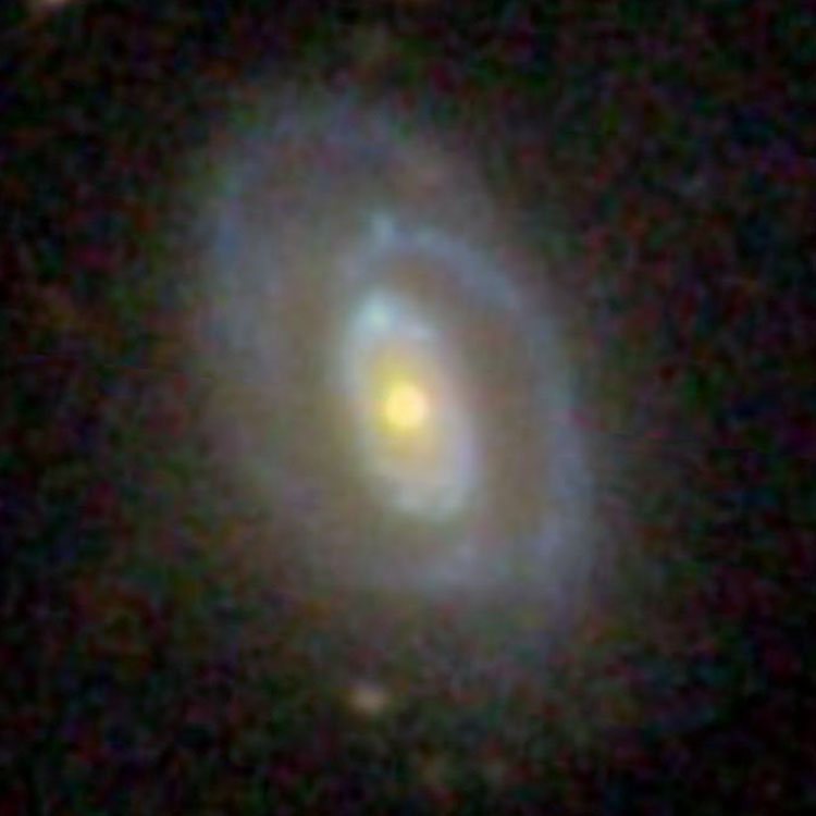 SDSS image of spiral galaxy NGC 1423