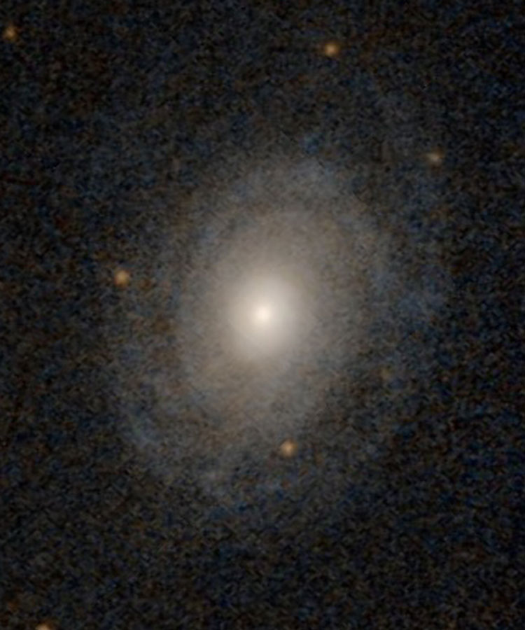 DSS image of the spiral galaxy NGC 1431