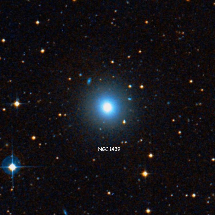 DSS image of region near elliptical galaxy NGC 1439