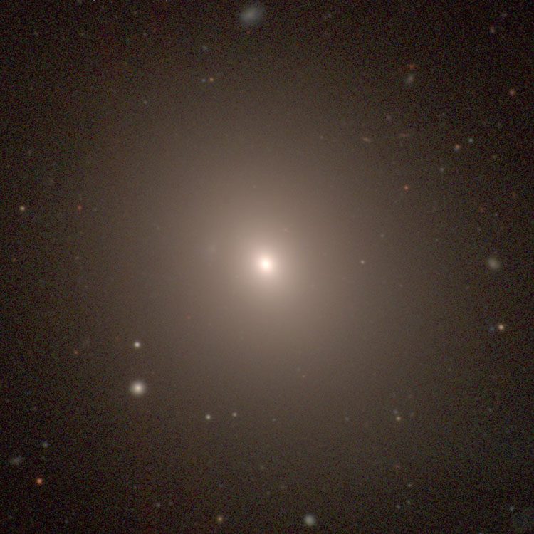 Carnegie-Irvine Galaxy Survey image of elliptical galaxy NGC 1453