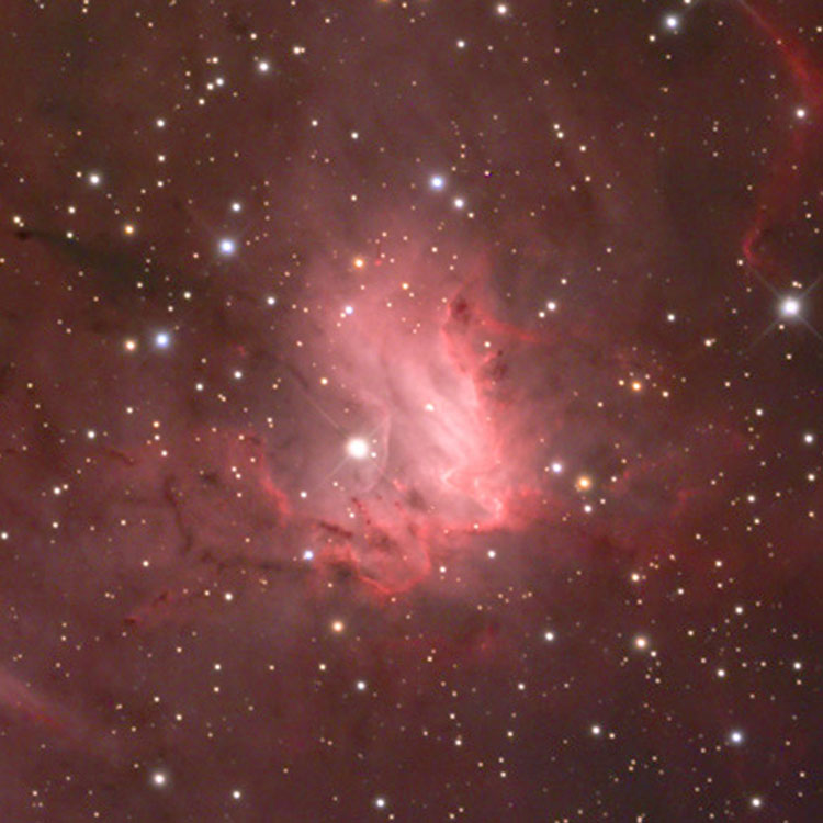 Mount Lemmon SkyCenter image of central portion of emission nebula NGC 1491