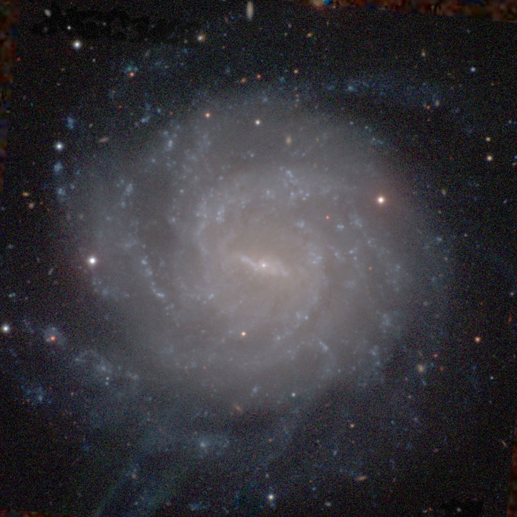 Carnegie-Irvine Galaxy Survey image of spiral galaxy NGC 1493