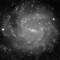de Vaucouleurs Atlas of Galaxies image of page for NGC 1493