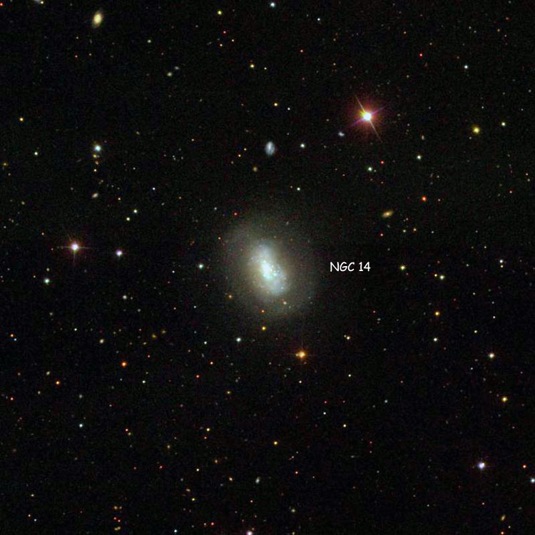 SDSS image of region near irregular galaxy NGC 14, also known as Arp 235
