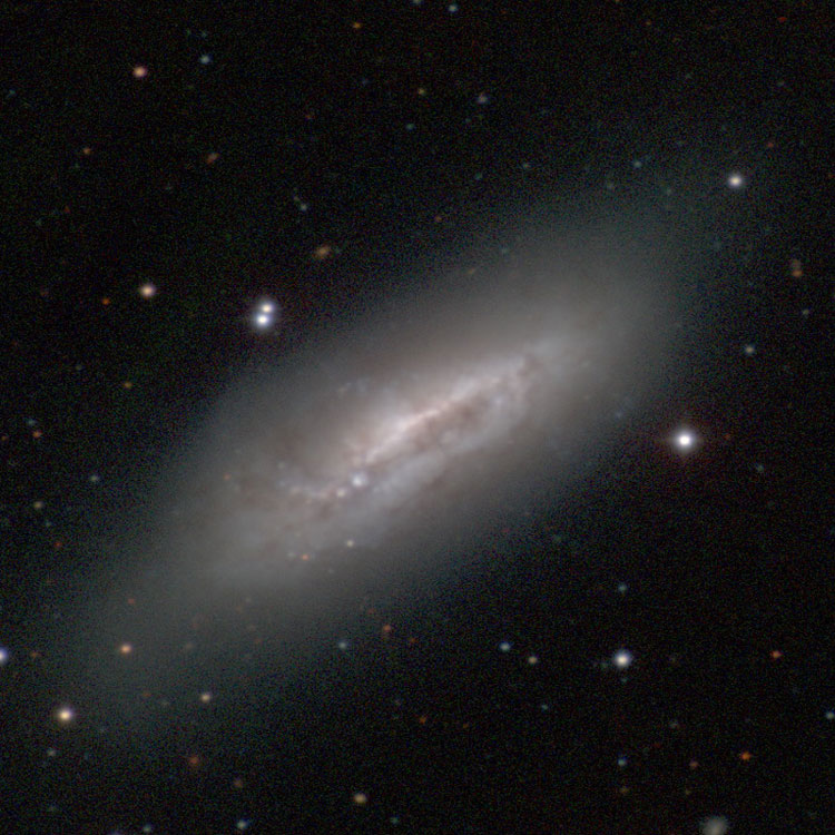 Carnegie-Irvine Galaxy Survey image of spiral galaxy NGC 1511