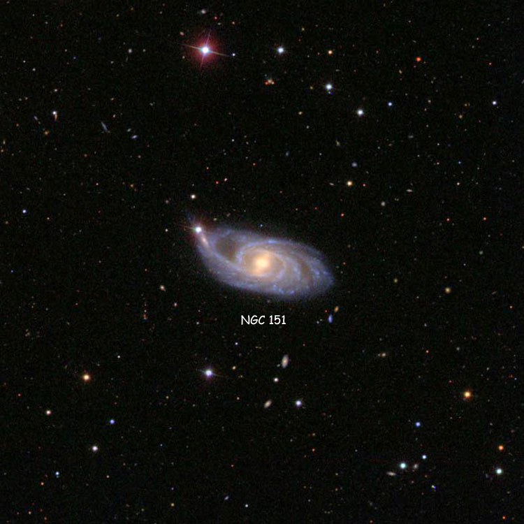 SDSS image of region near spiral galaxy NGC 151