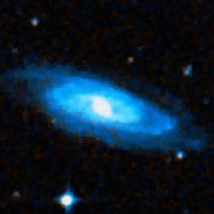 DSS image of spiral galaxy NGC 1558