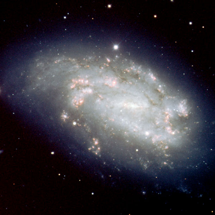 ESO image of spiral galaxy NGC 1559, also showing supernova SN2005df