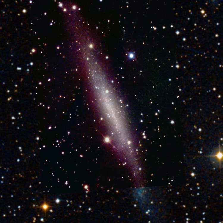 NOAO image of spiral galaxy NGC 1560 superimposed on a DSS background to fill in missing areas