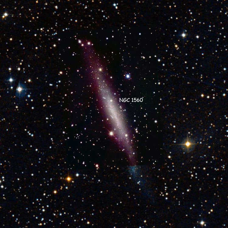 NOAO image of region near spiral galaxy NGC 1560 superimposed on a DSS background to fill in missing areas