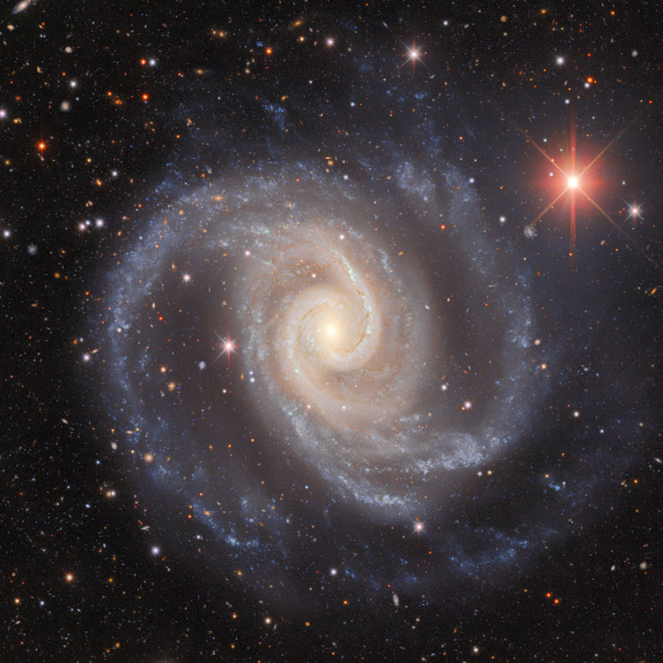 NOIRLab image of spiral galaxy NGC 1566