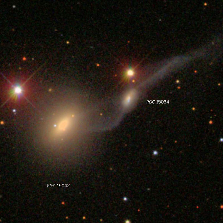 SDSS image of interacting lenticular galaxies PGC 15034 and 15042, which comprise NGC 1568