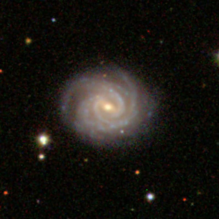SDSS image of spiral galaxy NGC 1580