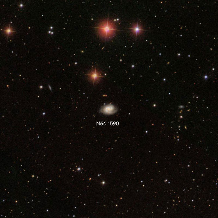 SDSS image of region near spiral galaxy NGC 1590