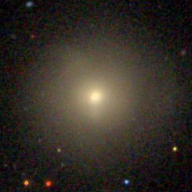 SDSS image of elliptical galaxy NGC 163