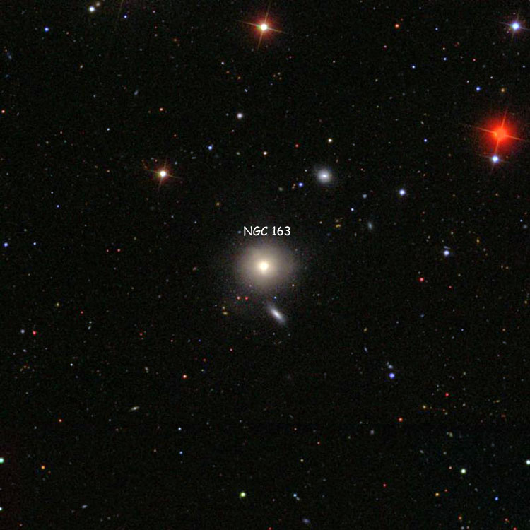 SDSS image of region near elliptical galaxy NGC 163