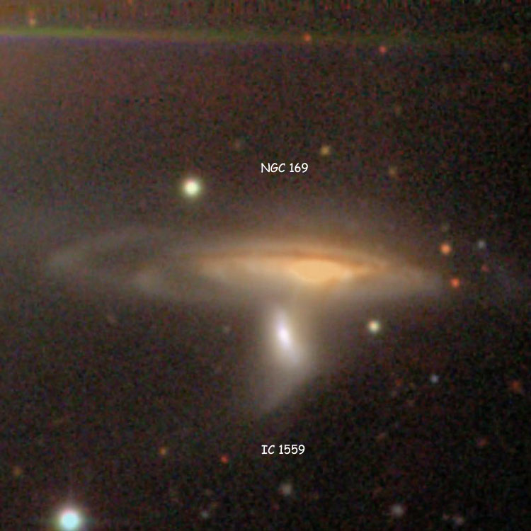 SDSS image of spiral galaxy NGC 169 and lenticular galaxy IC 1559, which comprise Arp 282