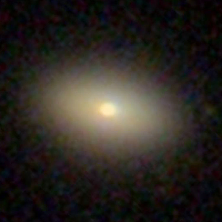 SDSS image of lenticular galaxy NGC 170