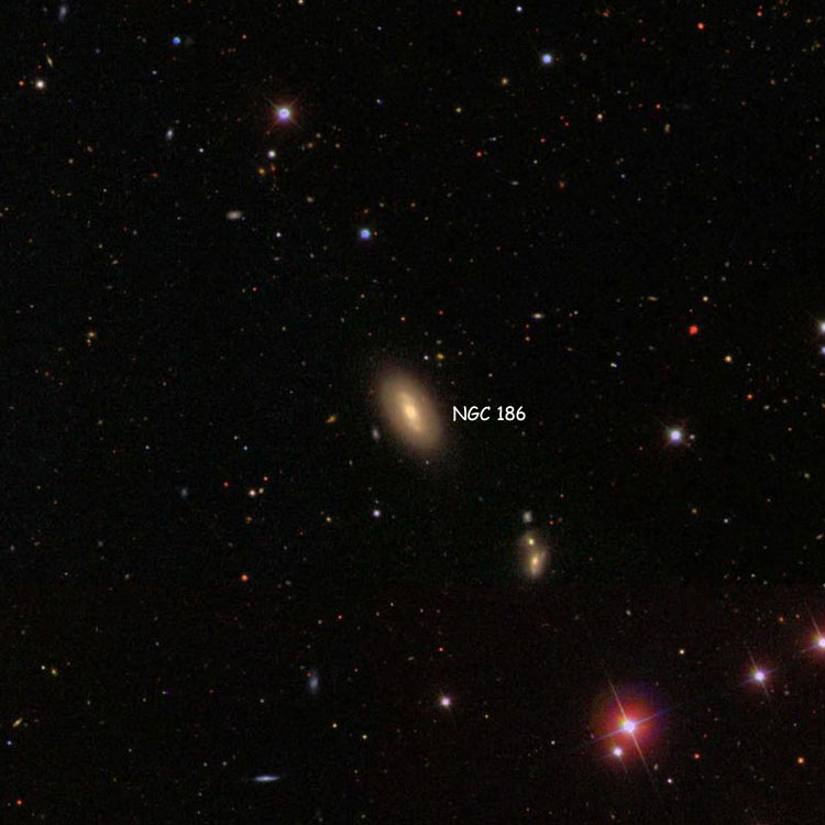 SDSS image of region near lenticular galaxy NGC 186