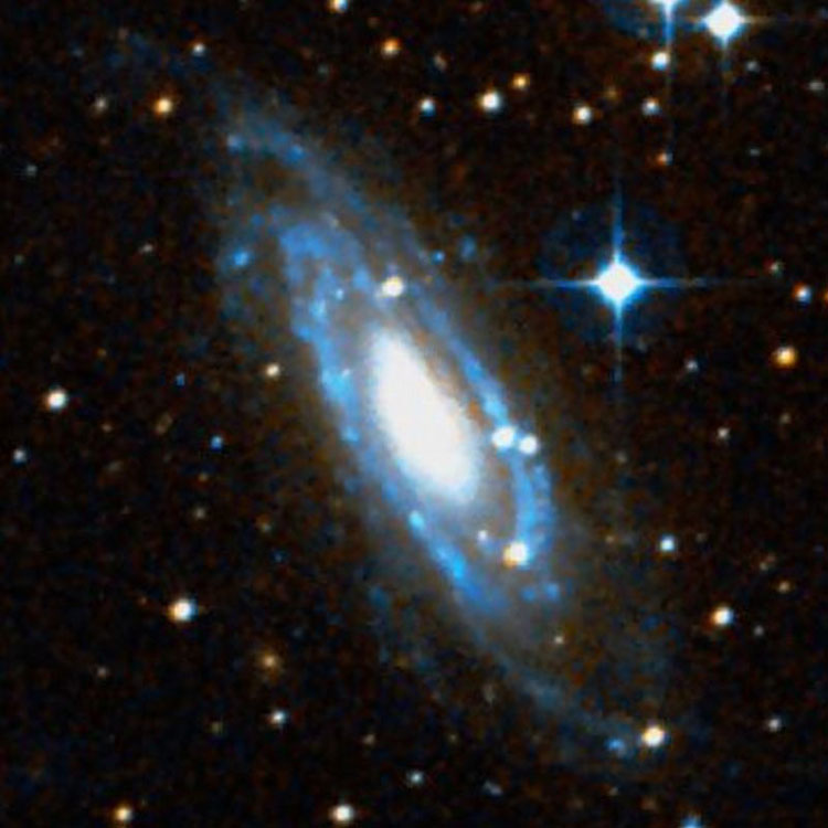 DSS image of spiral galaxy NGC 1964
