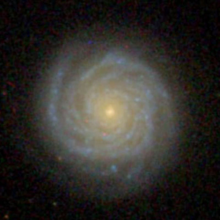 SDSS image of spiral galaxy NGC 198