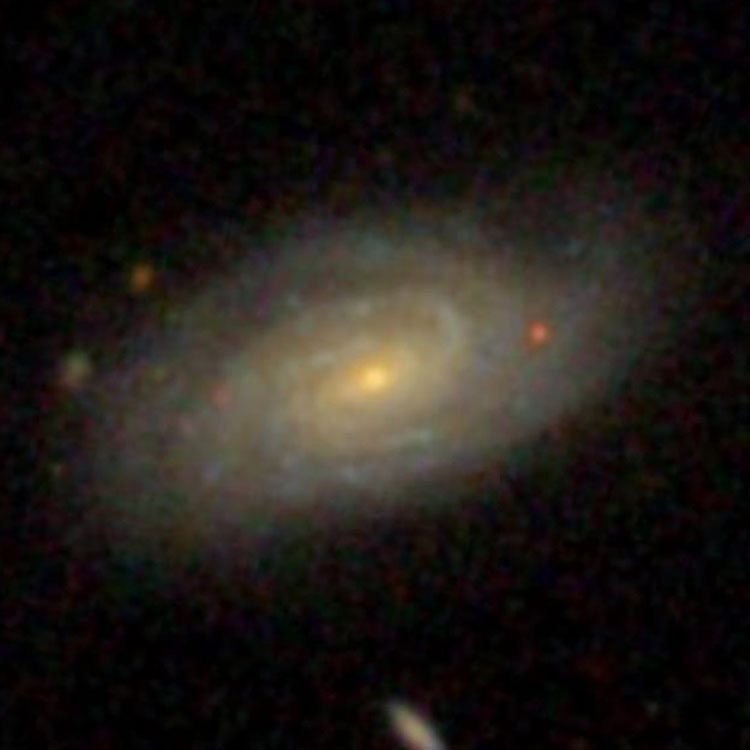 SDSS image of spiral galaxy NGC 2