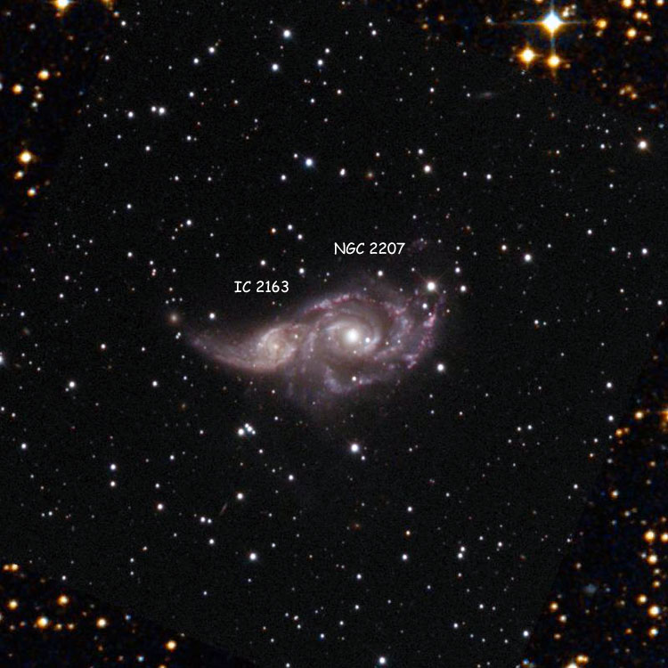 NOAO image of the region near interacting spiral galaxies NGC 2207 and IC 2163, overlaid on a DSS background to fill in missing regions